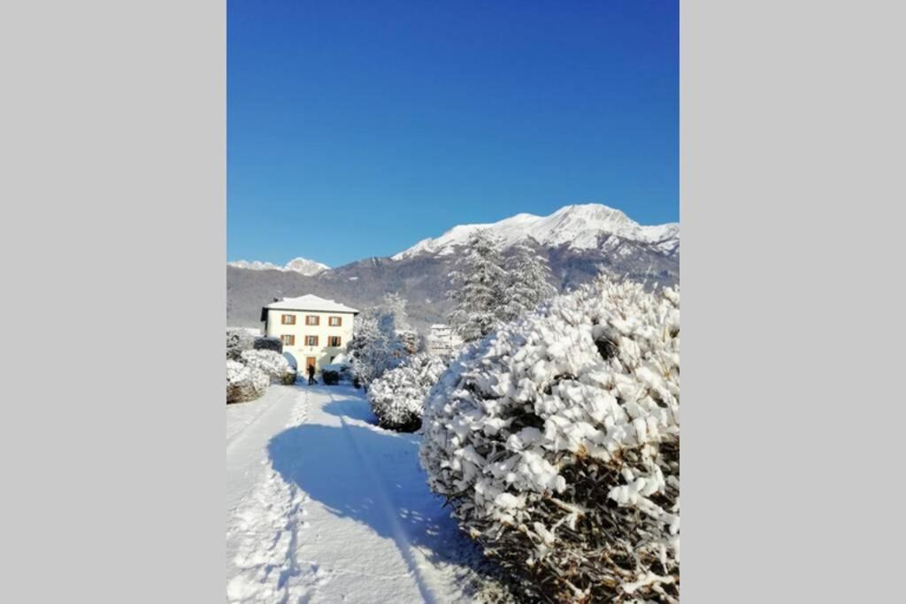 בלונו Villa Perale: La Tua Casa Alle Pendici Delle Dolomiti מראה חיצוני תמונה